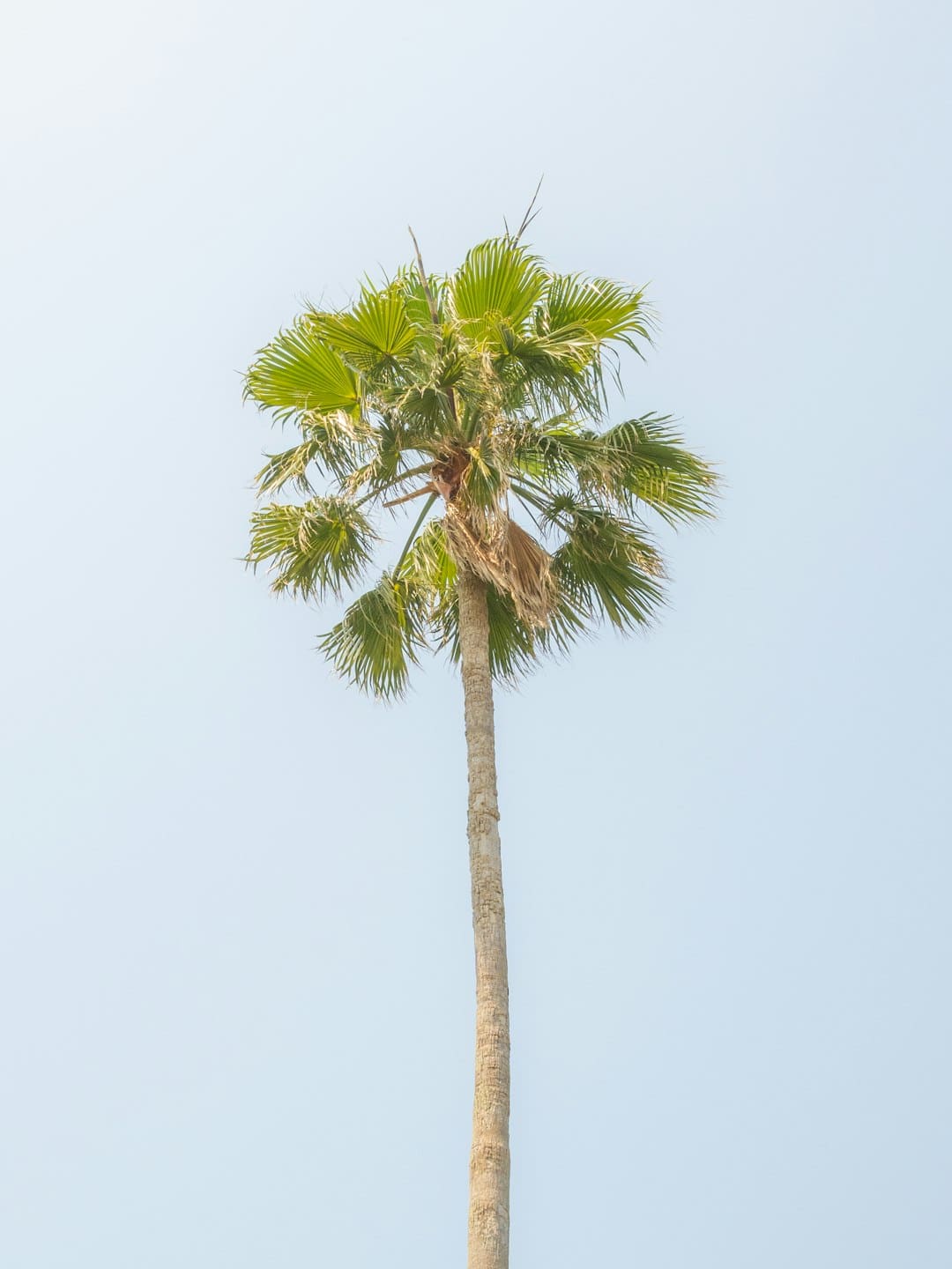 生育补助导致奶粉提价?记者查询:价格动摇实为促销调整 部分产品还在降价